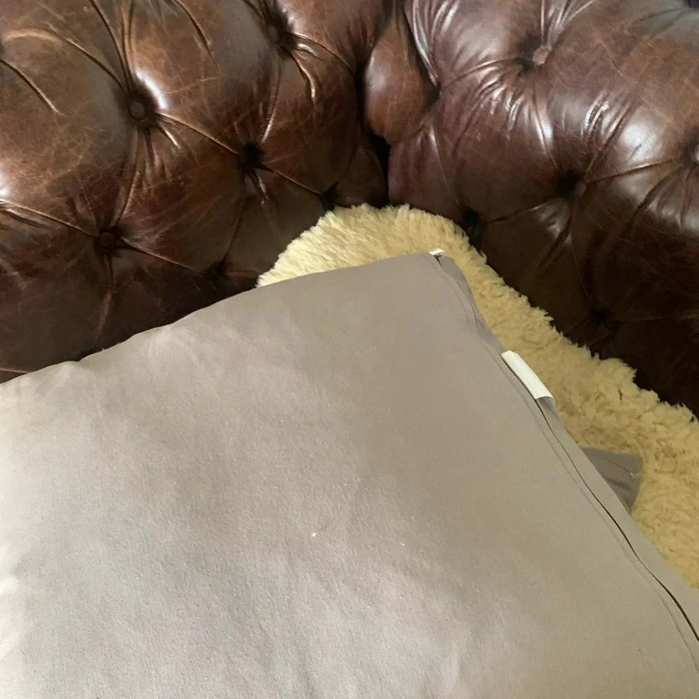 Set of‎ 2 Z gallerie gray feather print gray shimmer down filler accent pillows
